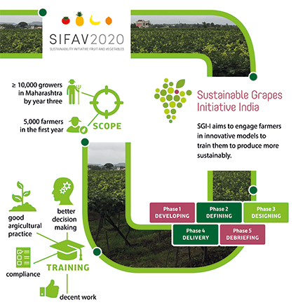 idh_sgi-i_image_info_graphic.