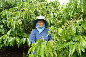 coffee vietnam