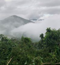 印度安得拉邦的山脉和森林