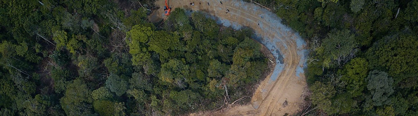 印度尼西亚亚齐的森林砍伐