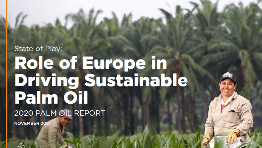 游戏状态：欧洲在推动可持续棕榈油中的作用