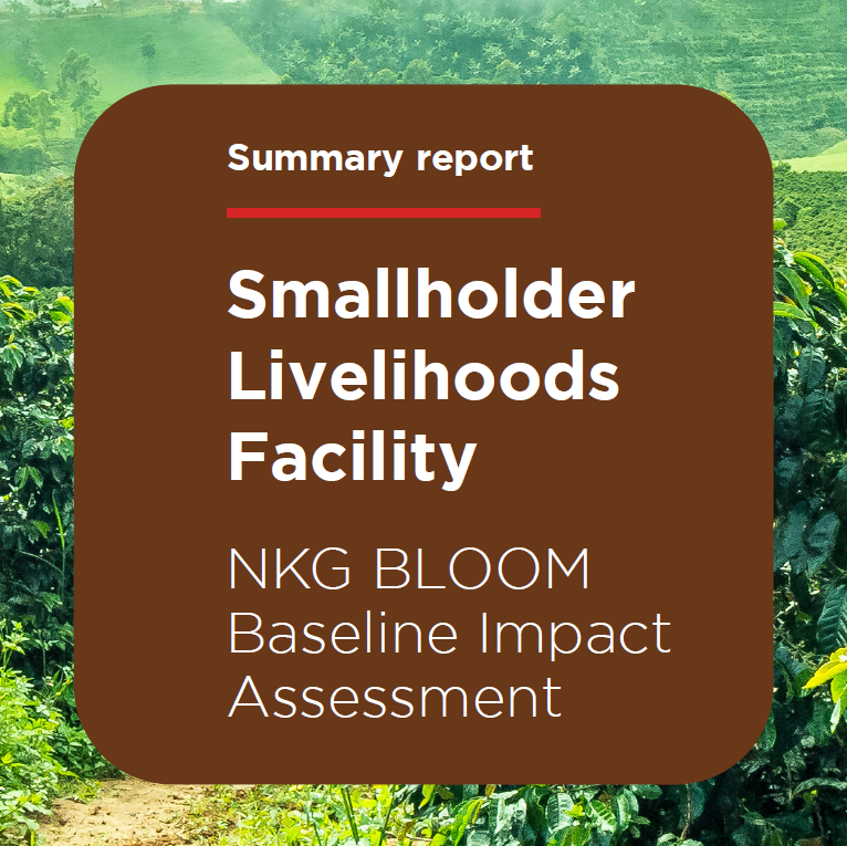 小农生计基金(NKG BLOOM)基线影响评估
