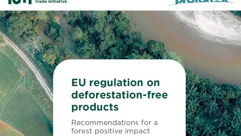 欧盟对无砍伐产品的监管